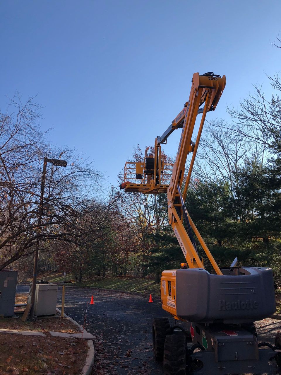 A yellow crane is lifting a tree in a parking lot.