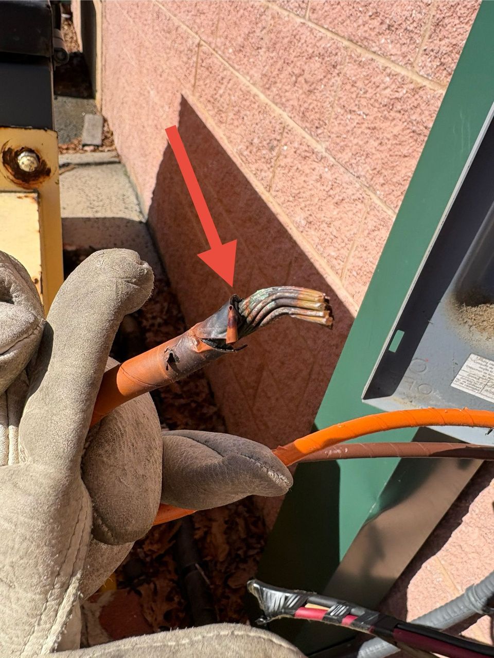 Gloved hand holding a cut orange cable with exposed wires beside a brick wall and green door frame