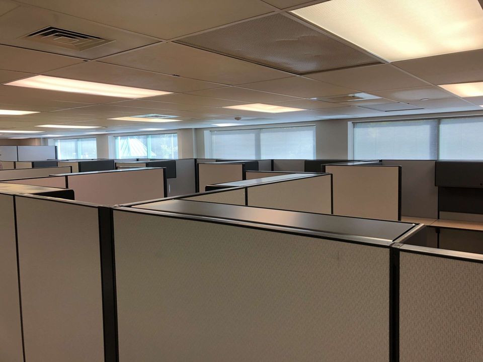 Empty office cubicles under fluorescent ceiling lights with windows along the back wall