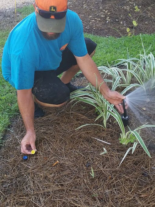 A man in a blue shirt is watering a plant with a sprinkler.