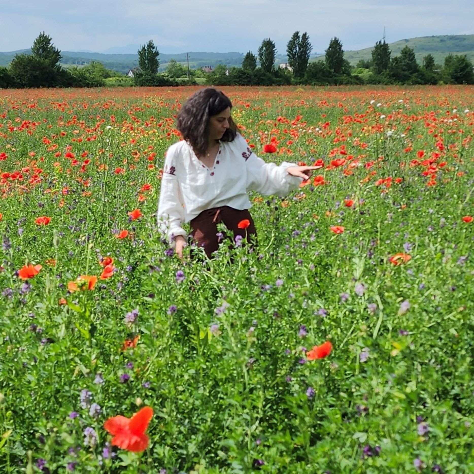 Wildflowers