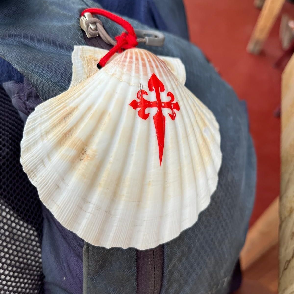 Camino
