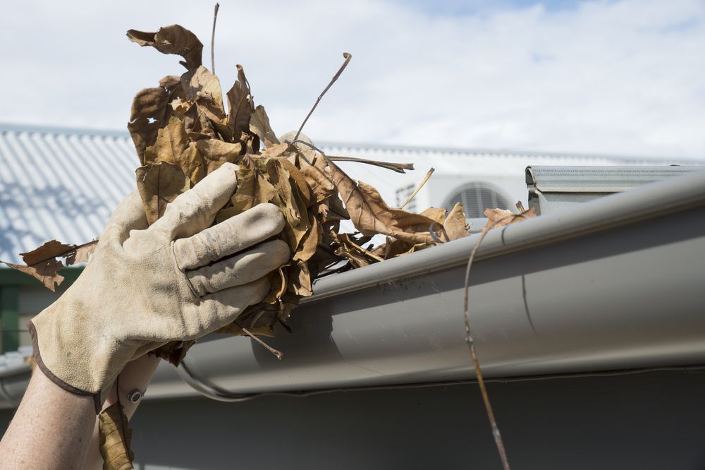 Gloved Hand Cleaning Dry Leaves From a Gray Gutter on a Roof — McLuckie Metal Roofing In Lugarno, NSW