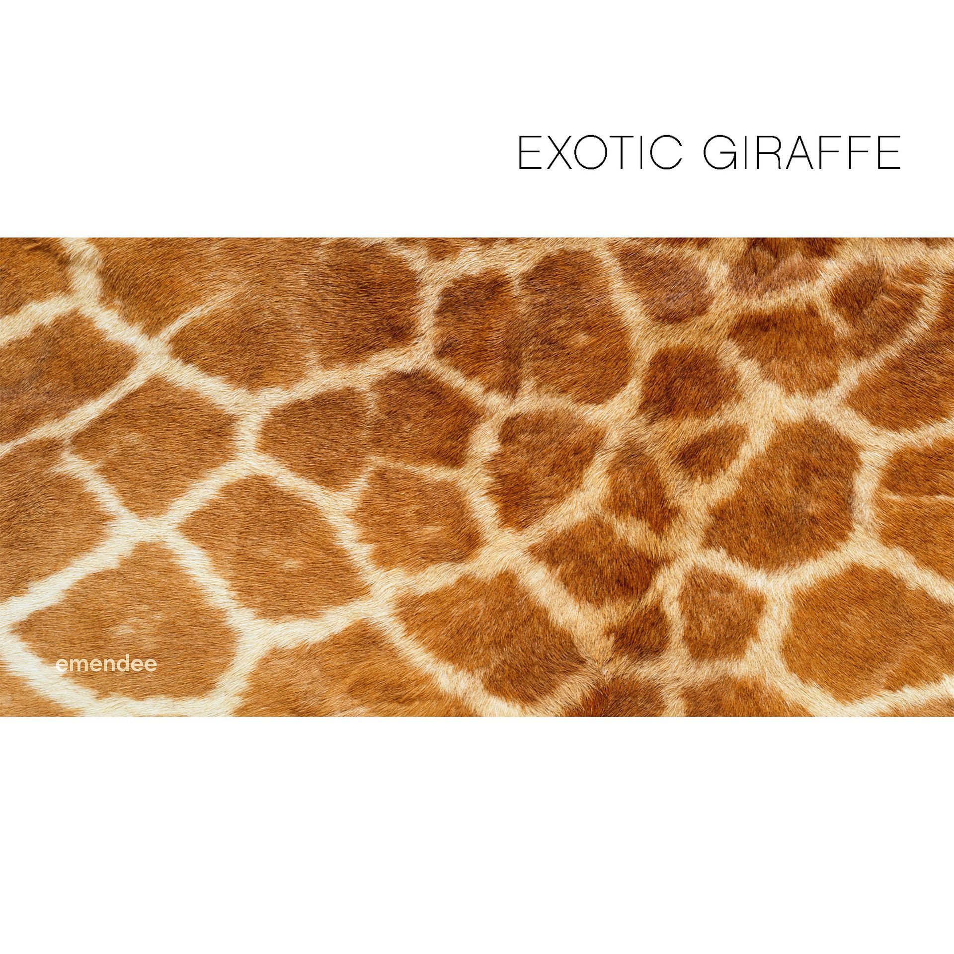 Exotic Giraffe — Queensland, AUS — Emendee