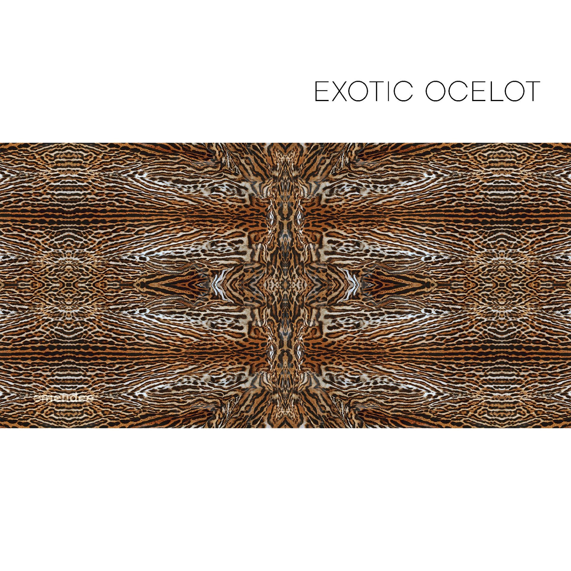 Exotic Ocelot — Queensland, AUS — Emendee