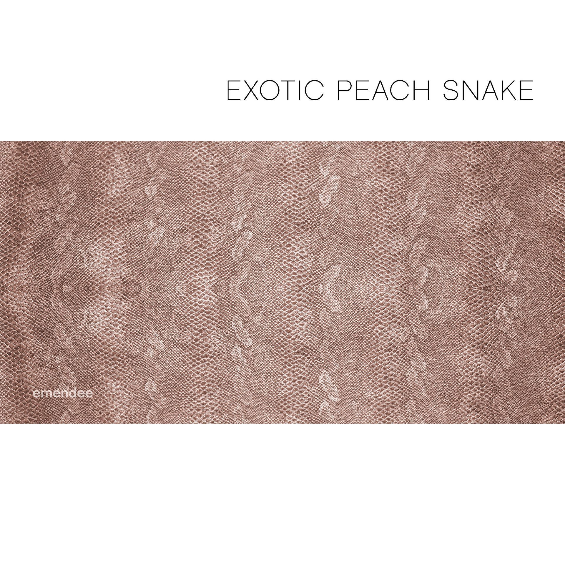 Exotic Peach Snake — Queensland, AUS — Emendee
