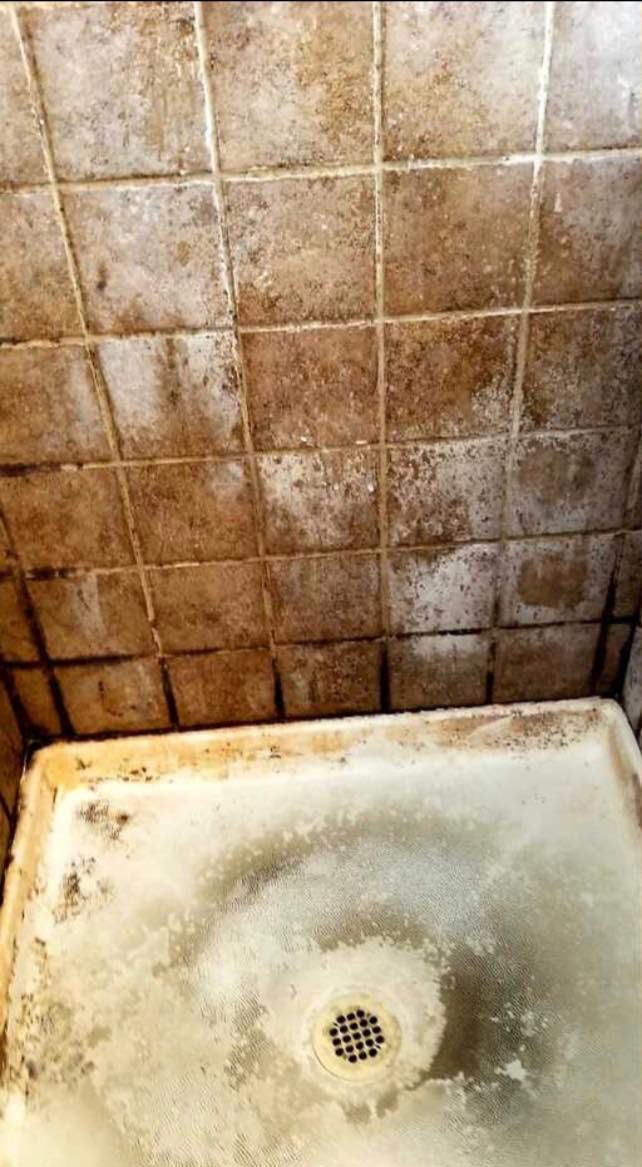 Unclean Comfort Room Area | Louisville, KY | Maid In The Ville