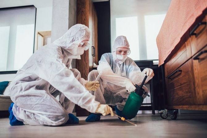 Two people in white coveralls cleaning a floor with a green sprayer in a wood-paneled room