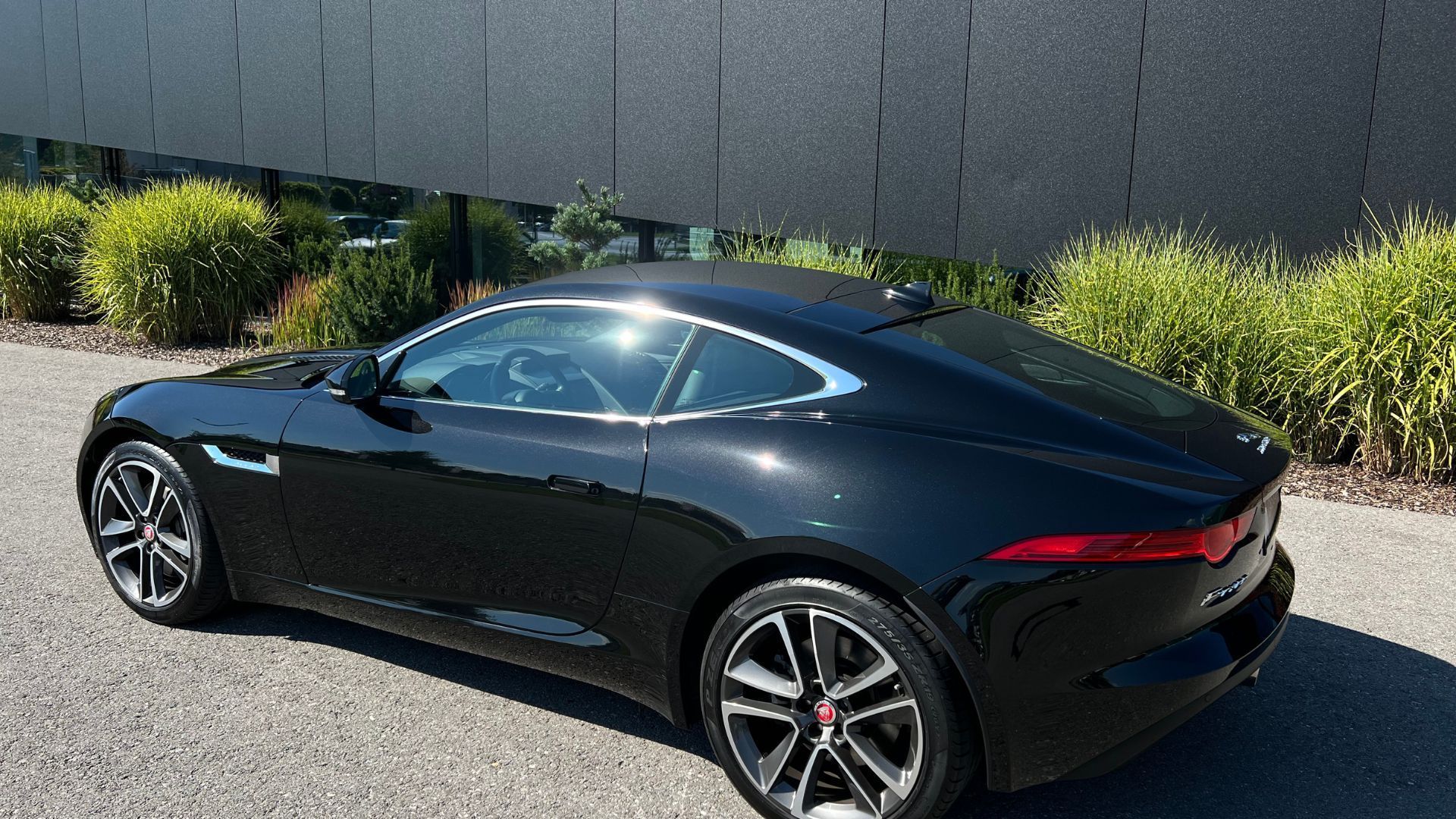 Jaguar kaufen