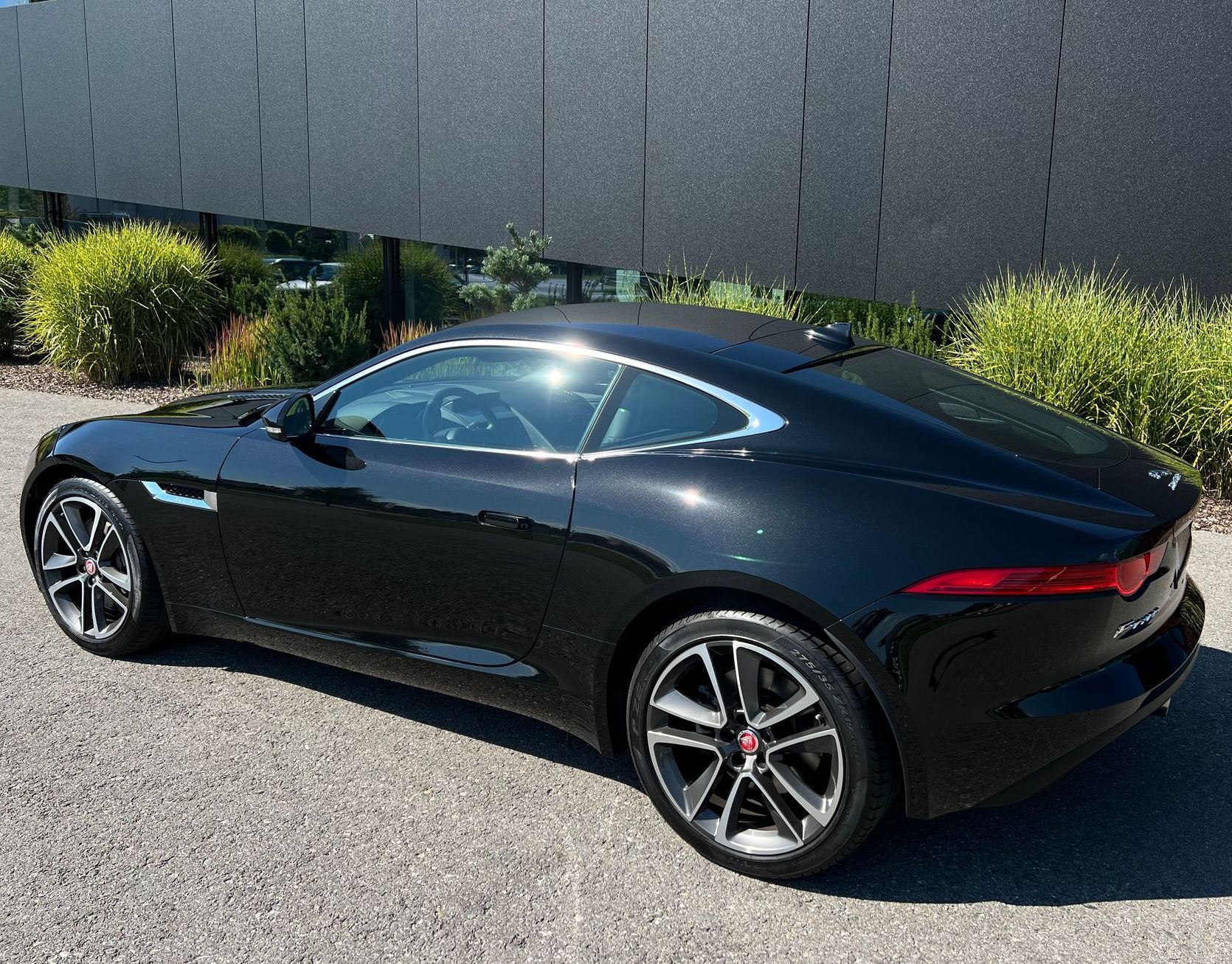 Jaguar kaufen