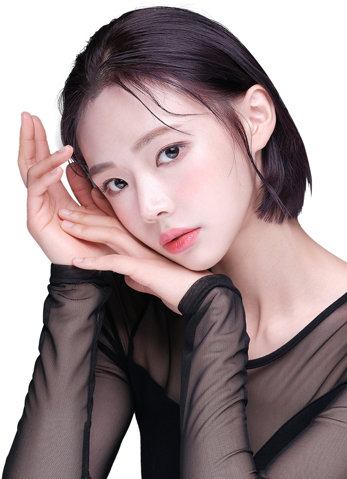 윌비성형외과 모델