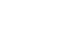 Blank white image with a thin black line near the bottom edge