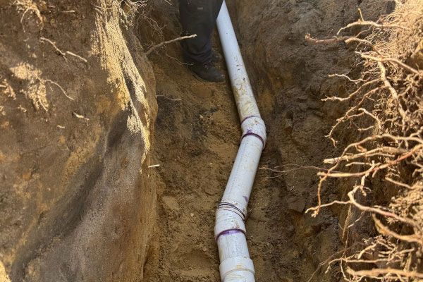 PVC pipe laid in a narrow dirt trench beside exposed roots