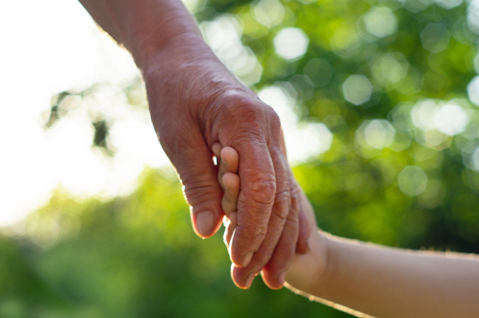 Child Custody Image — Charleston, SC — Paul D. Schwartz, Attorney at Law