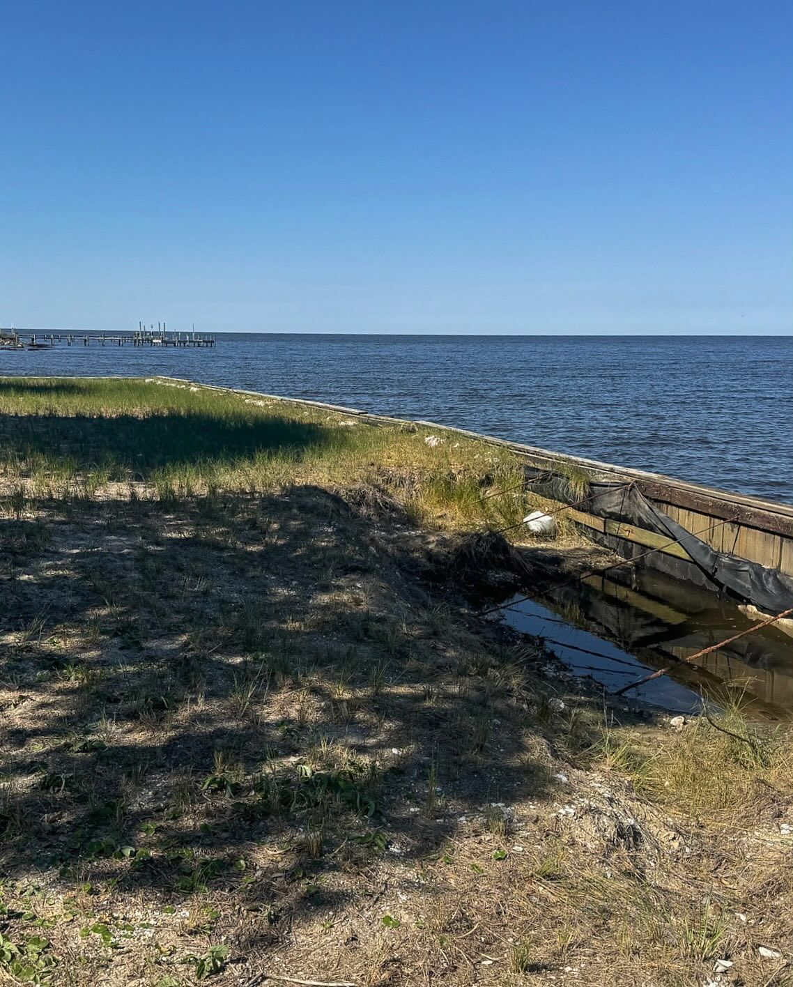 Grassy shoreline meets dark water under a clear blue sky. A dock is visible in the distance.