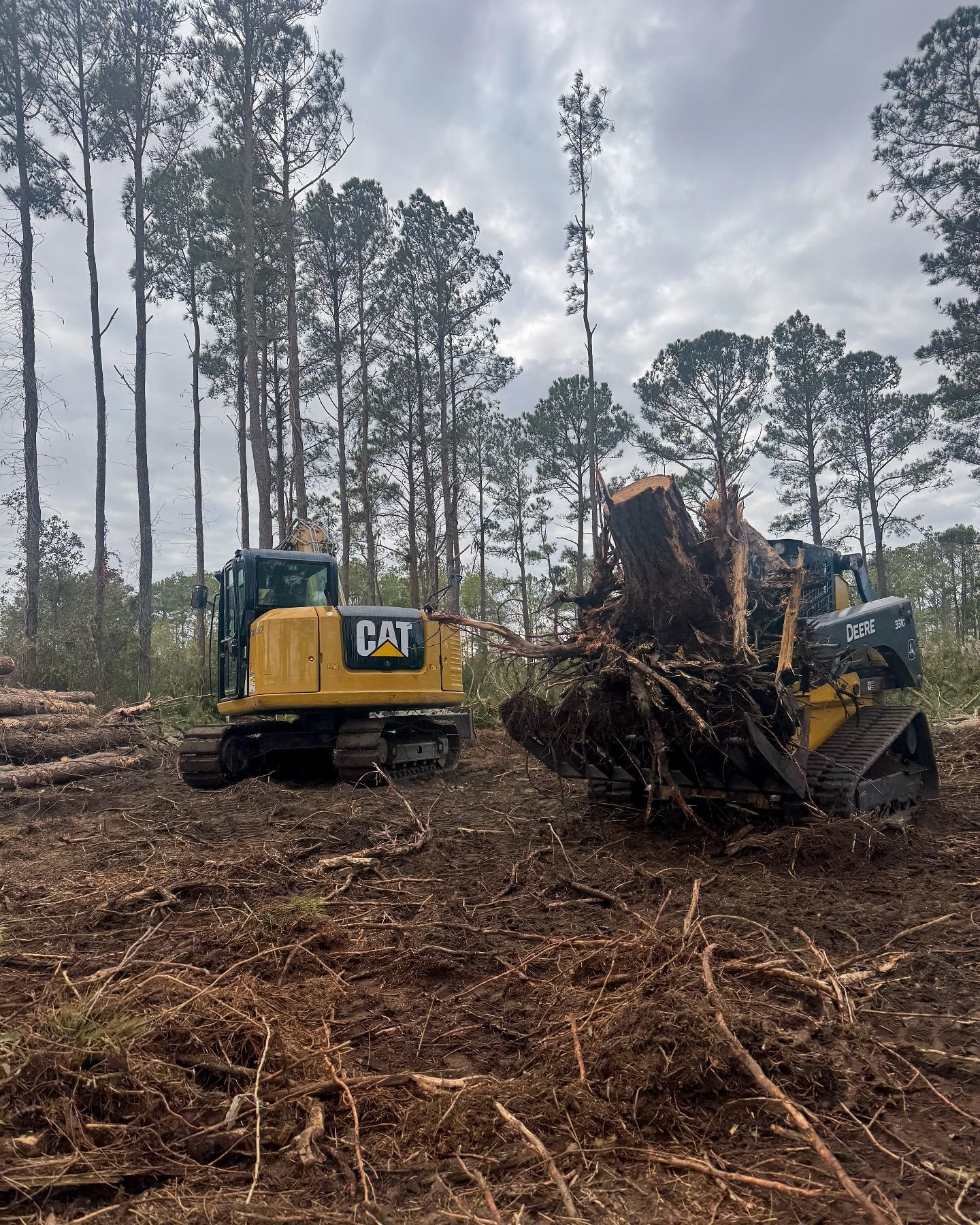 Two CAT construction vehicles clearing a wooded area with a cloudy sky overhead.