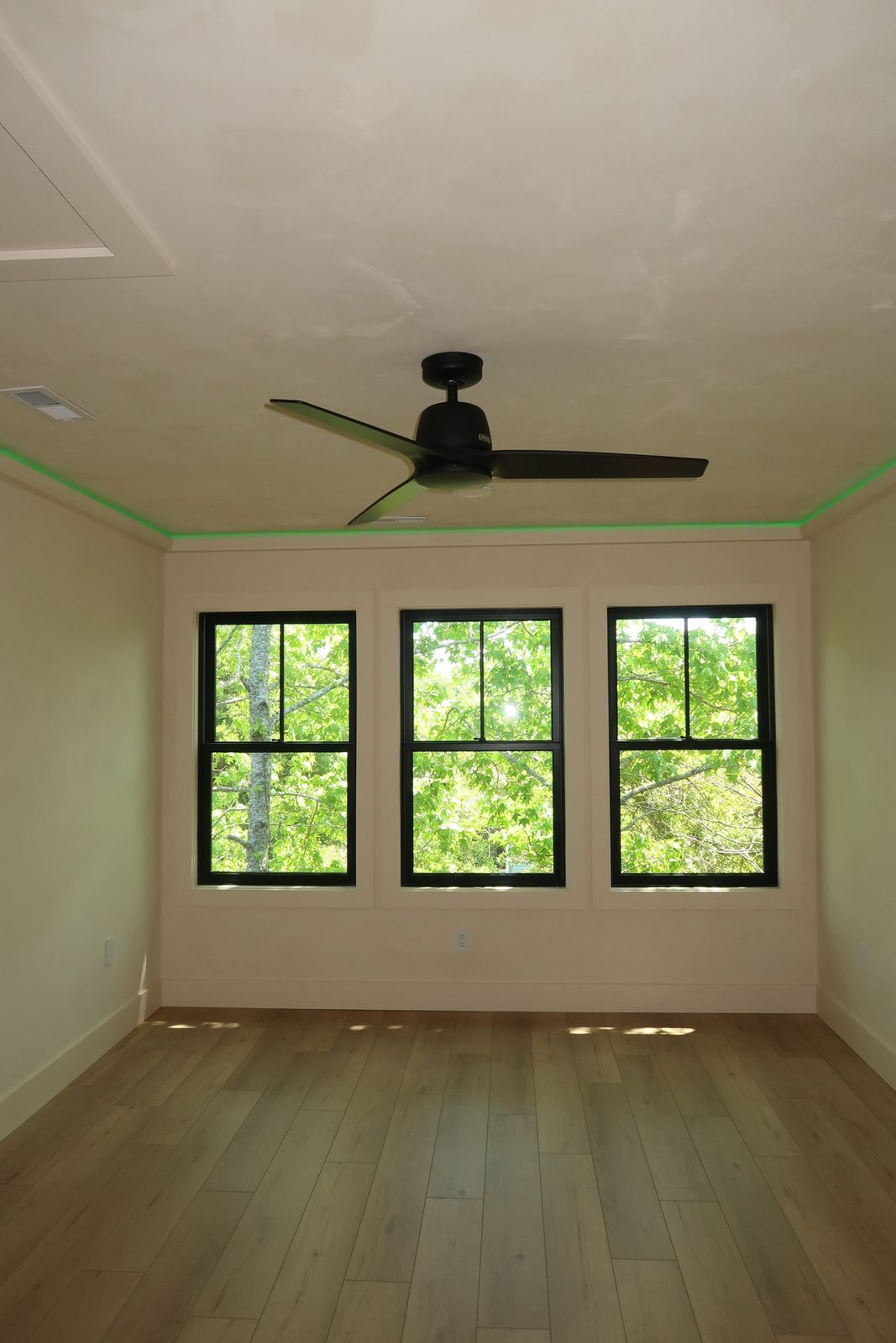 Empty room with three windows, a ceiling fan, and light-colored wood floors. Green outside.