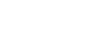 Blank white horizontal rectangle with a thin gray border at the bottom