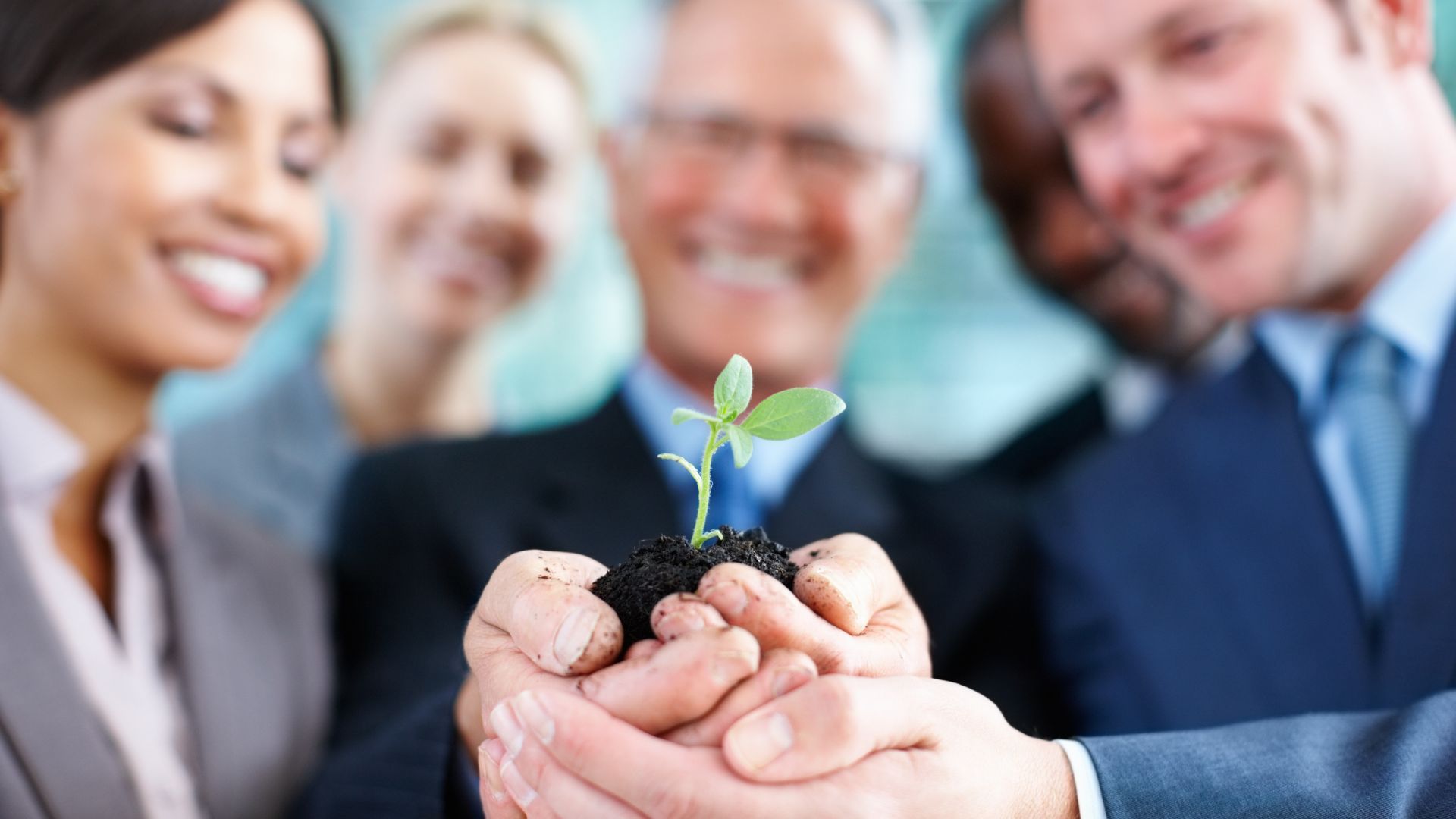 A group of people are holding a small plant in their hands.