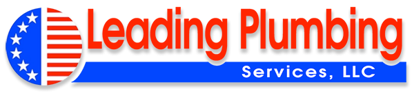 A logo for leading plumbing services llc with an american flag