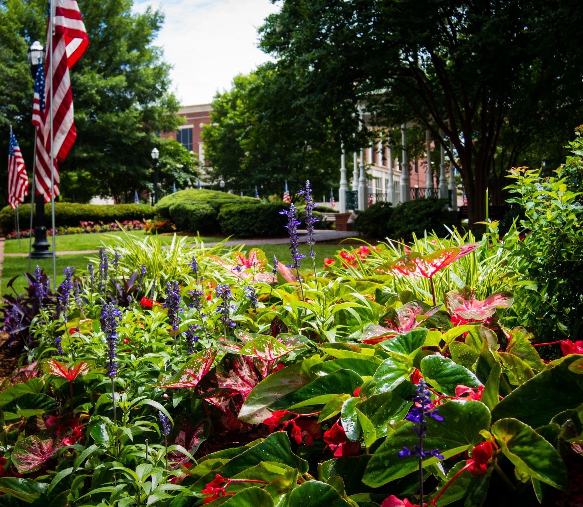 Flower beds in a park with American flags, a brick building, and lush greenery on a sunny day.