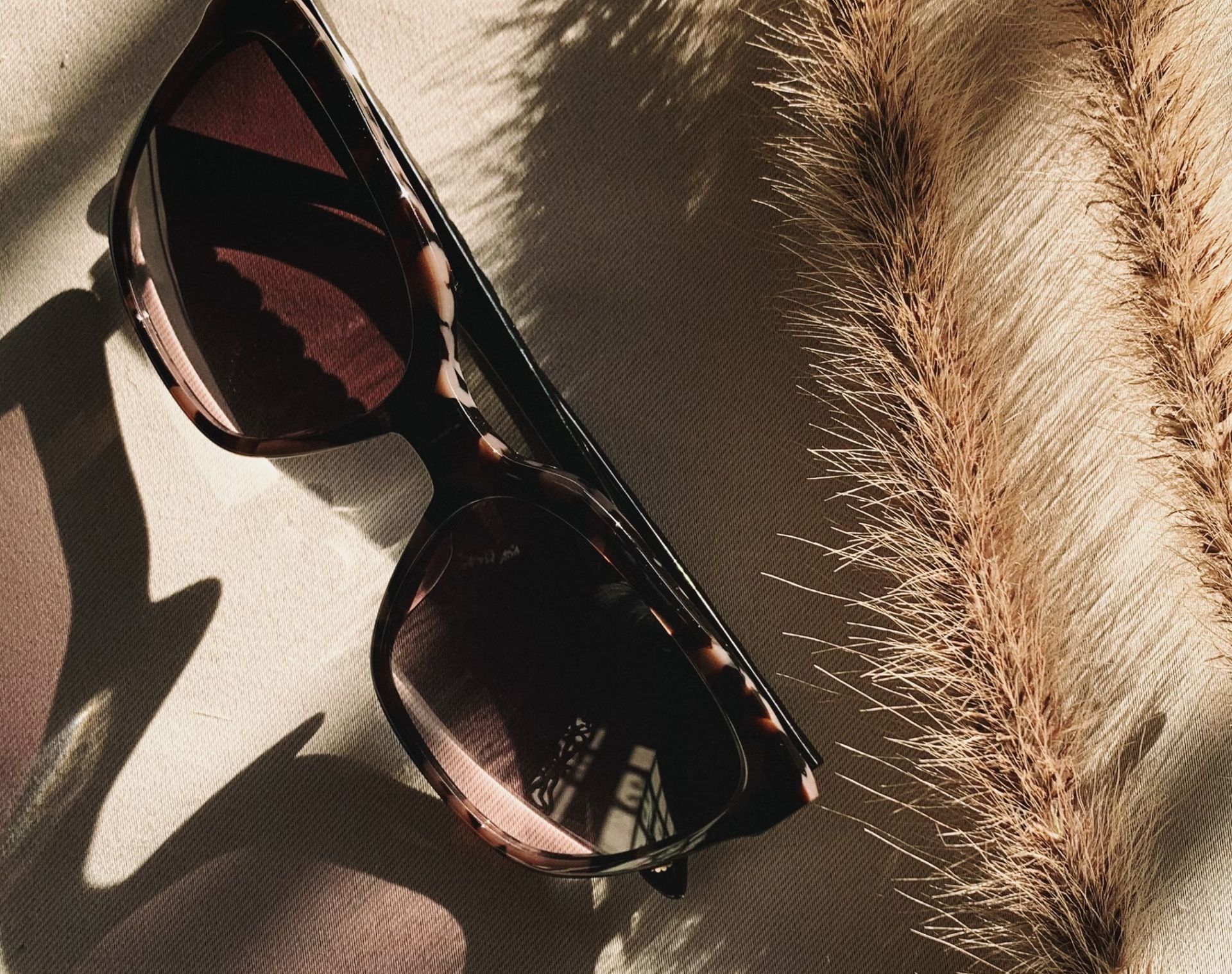 Sunglasses on beige woven fabric beside a tan feather trim