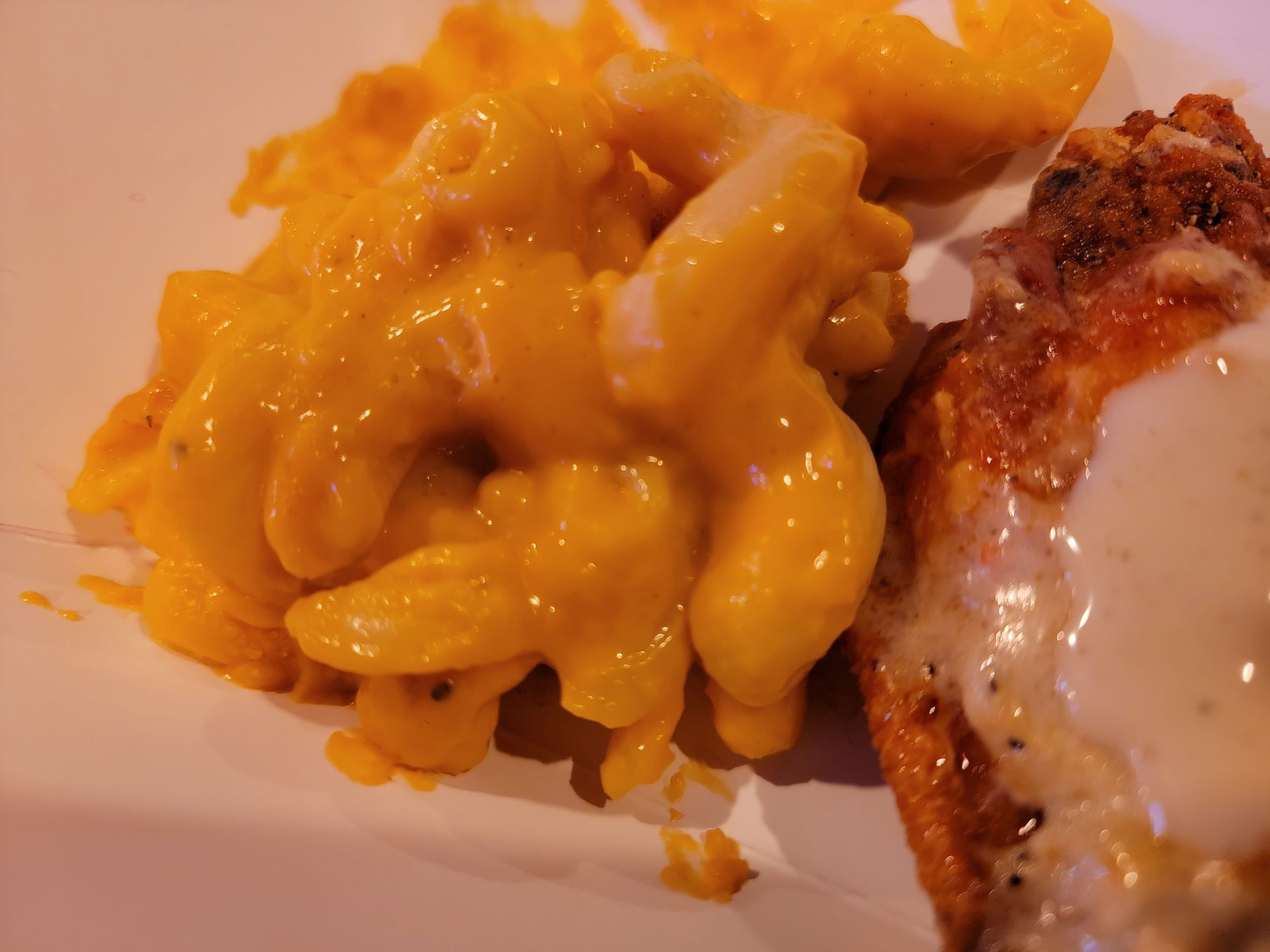 A close up of macaroni and cheese and chicken on a plate.