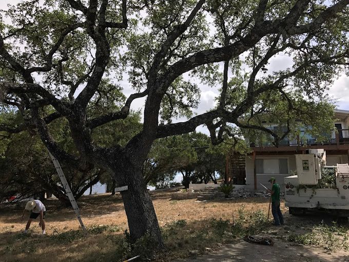 Compton Tree Experts | Canyon Lake TX