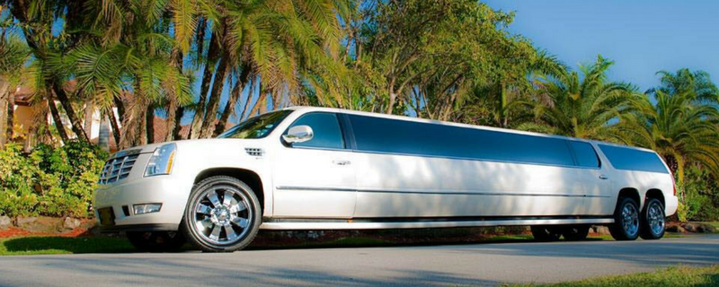 White stretch limousine parked on a sunny street with palm trees behind it
