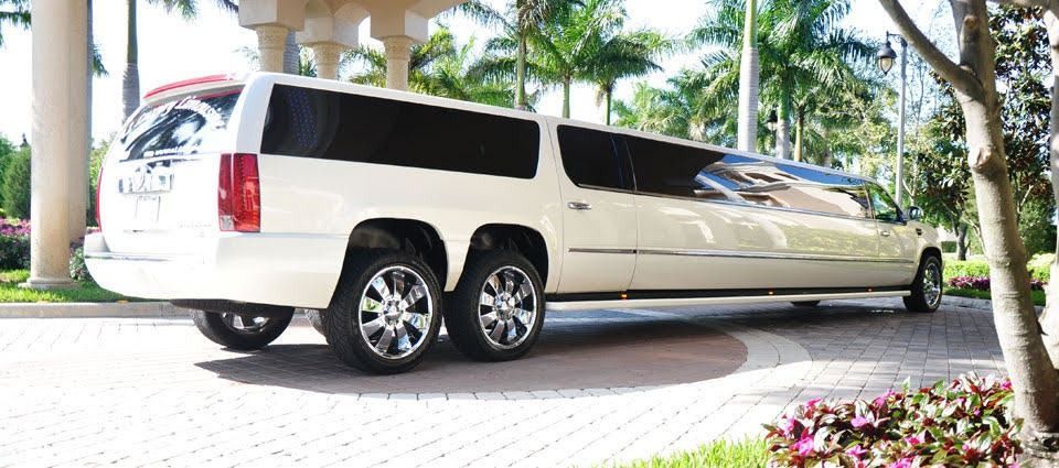 White stretch limousine parked on a sunny driveway beside palm trees and flowers