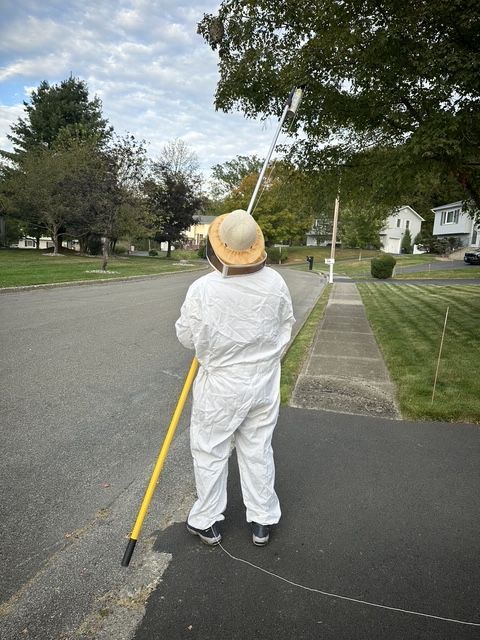Person in white work clothes and hard hat holding a long pole on a suburban street sidewalk.