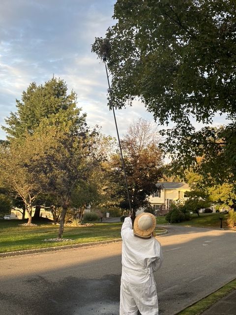Child in a white outfit and hat reaching up to catch a long pole on a suburban street.