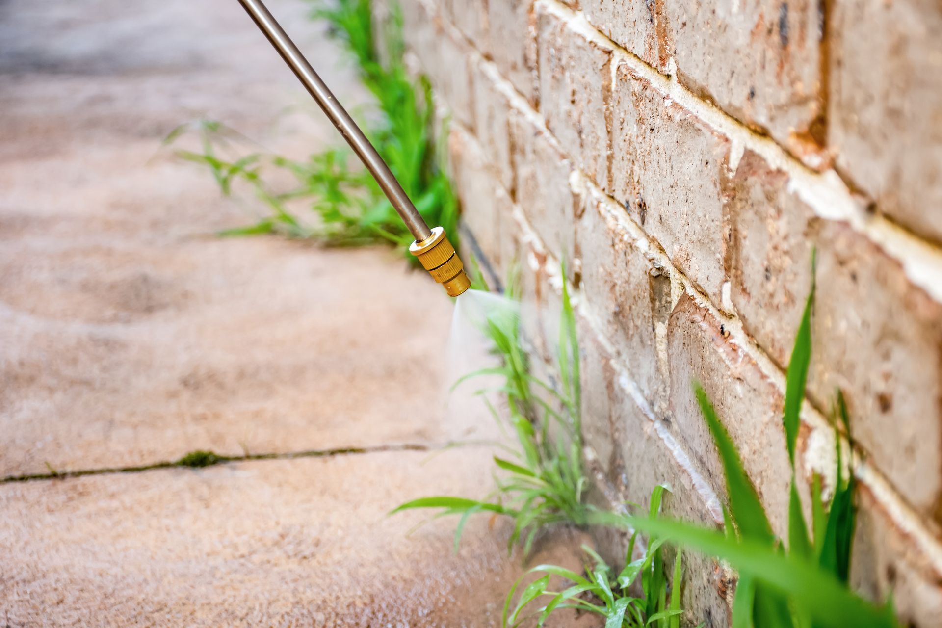 Pressure-washing a brick wall beside a concrete path, with green grass in the foreground