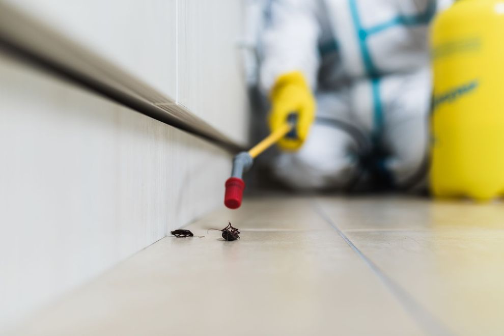 Pest control worker spraying pesticide near ants along a floor and baseboard