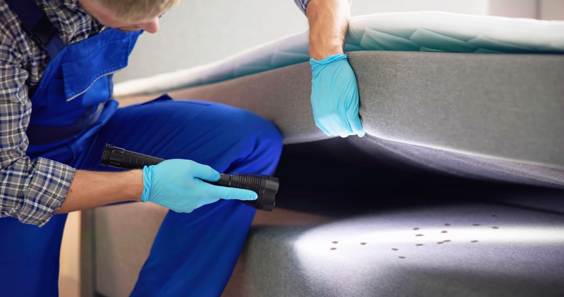 Technician in blue gloves inspecting damage on a white car panel with a flashlight