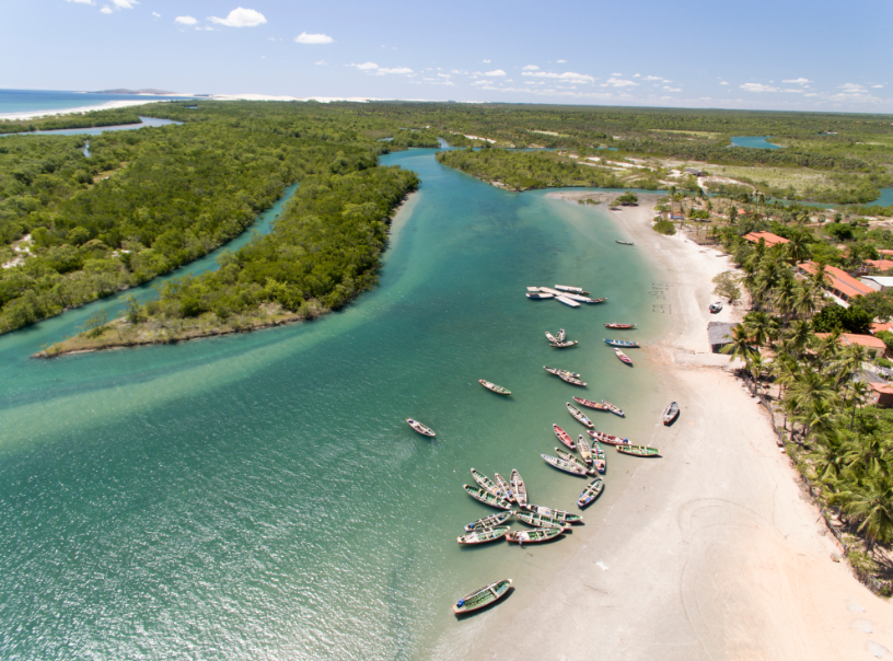 Uma vista aérea de uma praia com barcos na água