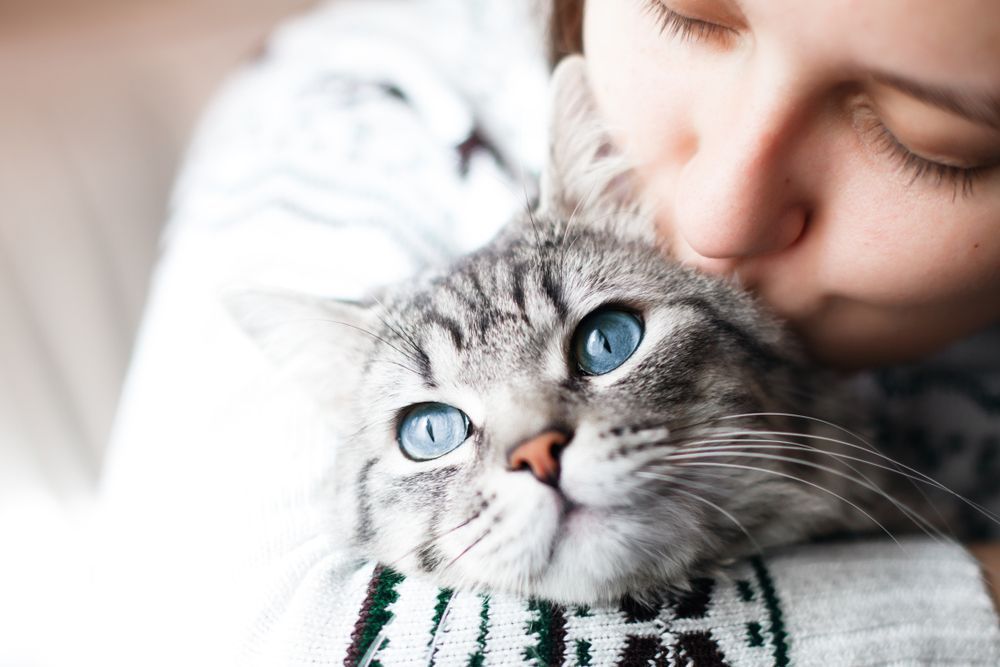 Woman at Home Kissing Her Lovely Fluffy Cat — Providing Pet Dentistry & Eye Care in Bowral, NSW