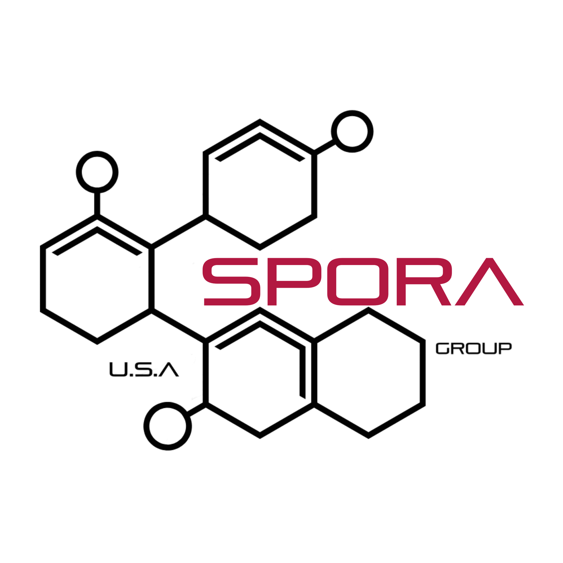 Spora Mold Remediation logo