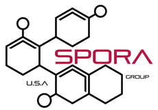 Spora Mold Remediation logo with a molecular design representing science-driven mold removal and air quality solutions.