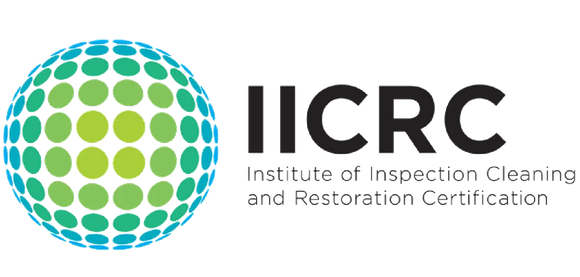 IICRC-certified — Spora Mold Remediation follows inspection and restoration standards for mold and water damage.