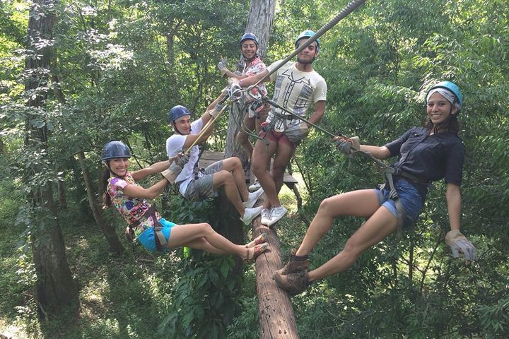 Un grupo de personas está sentada en un tronco en el bosque.