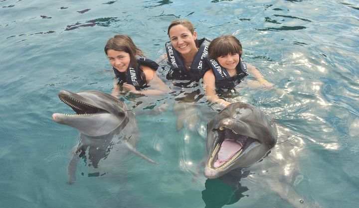 Una mujer y dos niños están nadando con delfines en el océano.