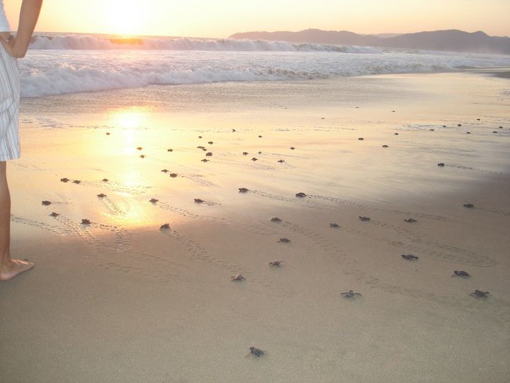Una persona parada en una playa al atardecer