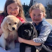 Two smiling children hold a cream puppy and a black puppy outdoors in sunlight