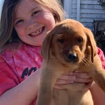 Smiling child holding a brown puppy outdoors in front of a house