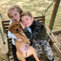 Two children cuddle a brown puppy on a porch swing, smiling at the camera.