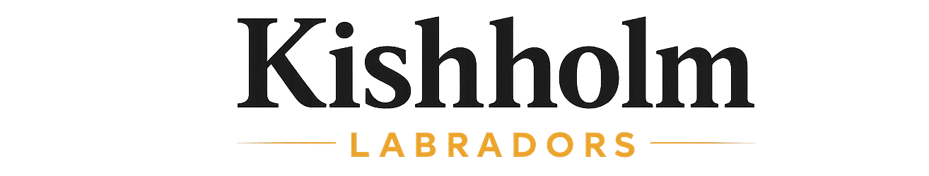 Kishholm Labradors logo with black text and small gold “Labradors” on a white background