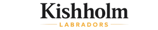 Kishholm Labradors logo with black text and small gold &ldquo;Labradors&rdquo; on a white background