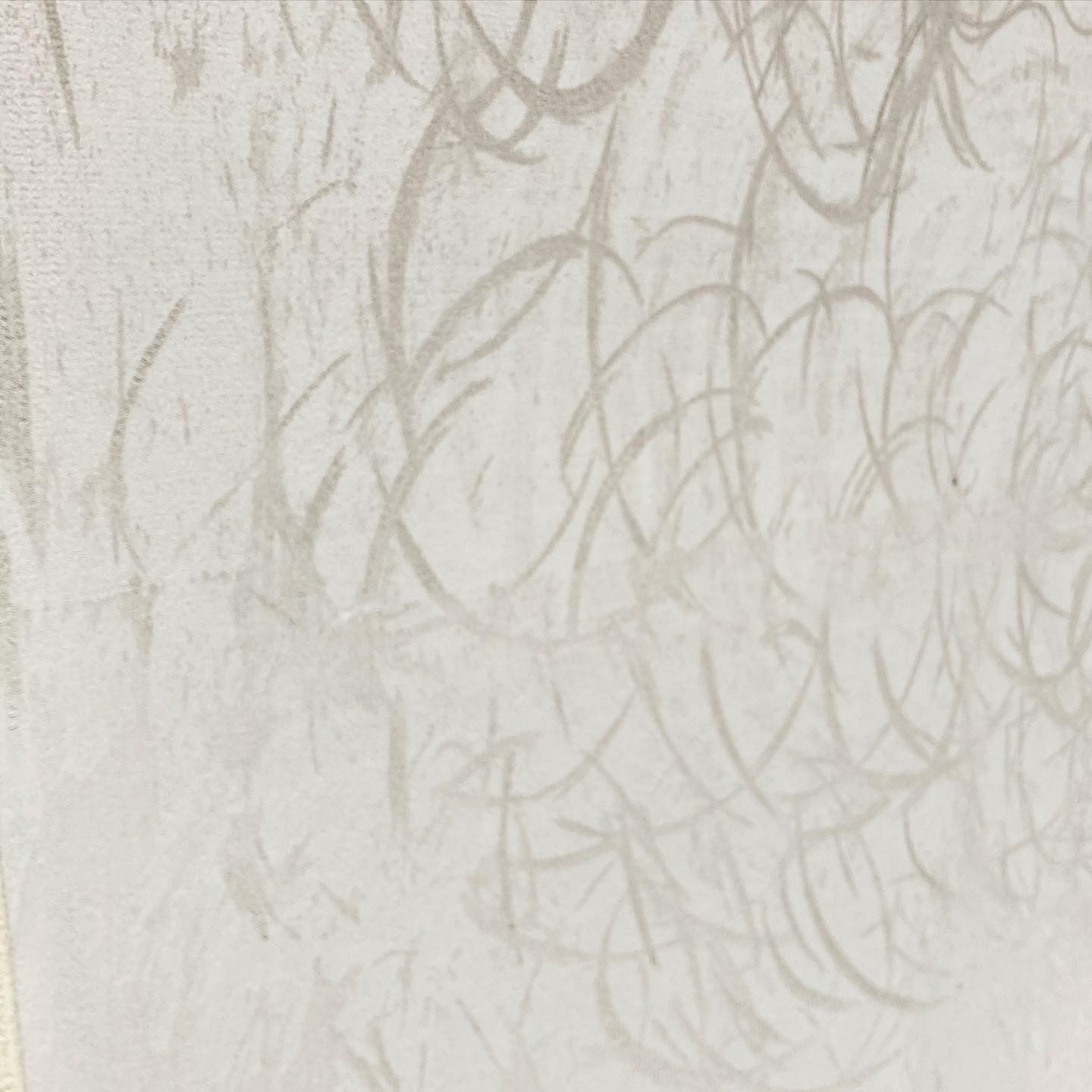 Cross texture wall— Rock Solid Rendering Gallery in Brisbane, QLD