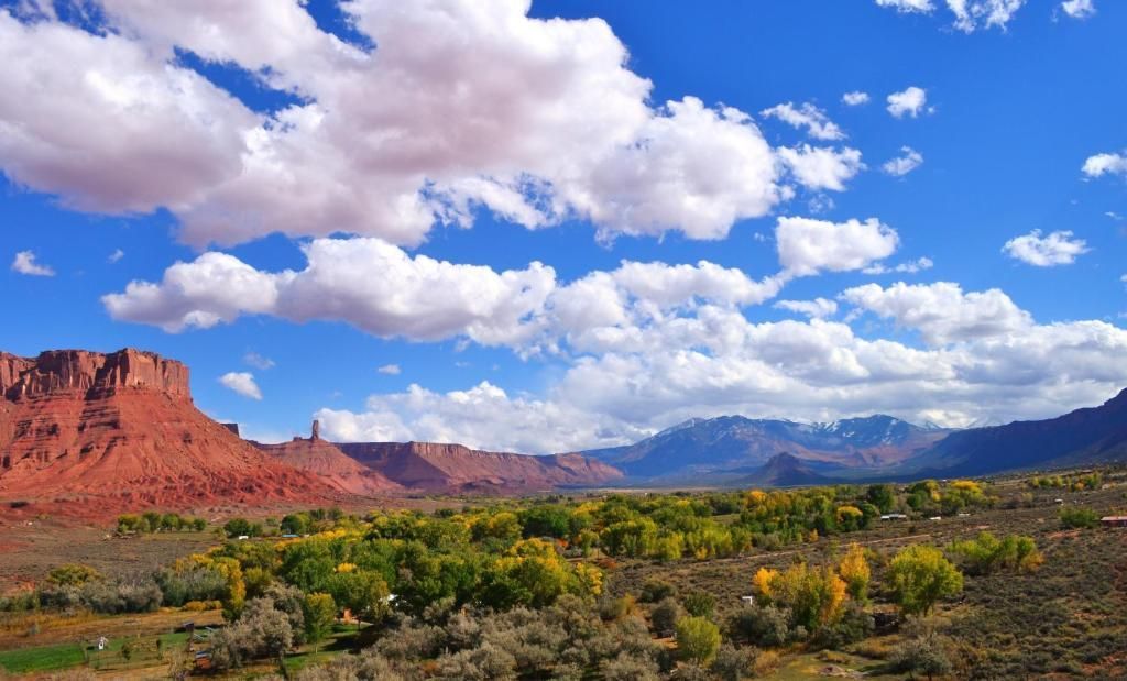 Desert landscape with red cliffs, green shrubs, and bright clouds under a blue sky.